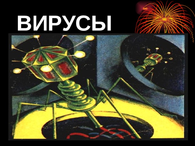 ВИРУСЫ  