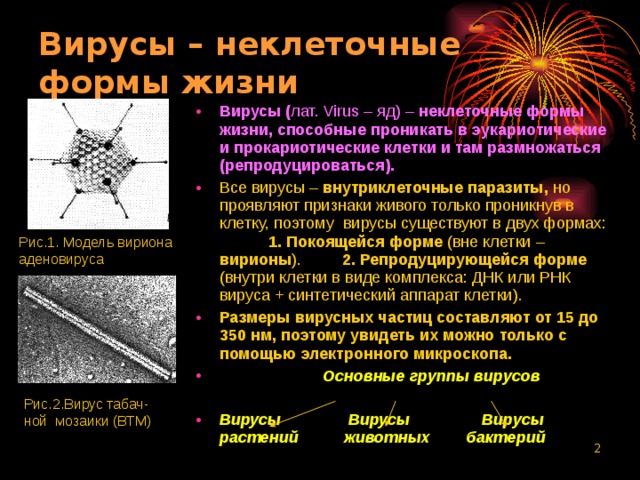 Вирусы – неклеточные формы жизни Вирусы ( лат. Virus – яд) – неклеточные формы  жизни, способные проникать в эукариотические и прокариотические клетки и там размножаться (репродуцироваться). Все вирусы – внутриклеточные паразиты, но проявляют признаки живого только проникнув в клетку, поэтому  вирусы существуют в двух формах: 1. Покоящейся форме (вне клетки – вирионы ). 2. Репродуцирующейся форме (внутри клетки в виде комплекса: ДНК или РНК вируса + синтетический аппарат клетки). Размеры вирусных частиц составляют от 15 до 350 нм, поэтому увидеть их можно только с помощью электронного микроскопа.  Основные группы вирусов  Вирусы Вирусы Вирусы растений животных бактерий Рис.1. Модель вириона аденовируса Рис.2.Вирус табач-ной мозаики (ВТМ)  