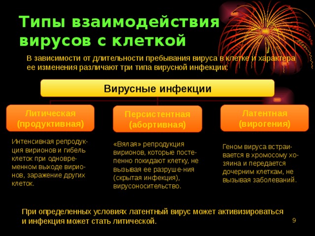 Типы взаимодействия вирусов с клеткой В зависимости от длительности пребывания вируса в клетке и характера ее изменения различают три типа вирусной инфекции: Вирусные инфекции Литическая (продуктивная) Латентная (вирогения) Персистентная (абортивная) Интенсивная репродук-ция вирионов и гибель клеток при одновре-менном выходе вирио-нов, заражение других клеток. «Вялая» репродукция вирионов, которые посте-пенно покидают клетку, не вызывая ее разруше-ния (скрытая инфекция), вирусоносительство. Геном вируса встраи-вается в хромосому хо-зяина и передается дочерним клеткам, не вызывая заболеваний. При определенных условиях латентный вирус может активизироваться и инфекция может стать литической.  