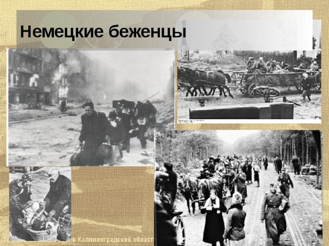 Немецкие беженцы 