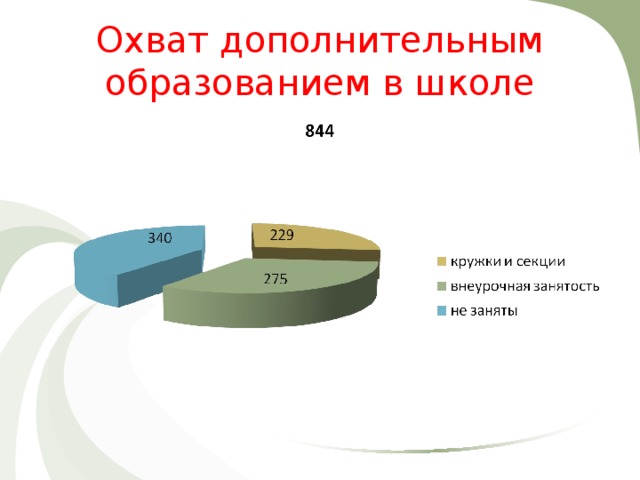 Охват дополнительным образованием в школе 