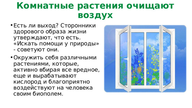 Комнатные растения очищают воздух Есть ли выход? Сторонники здорового образа жизни утверждают, что есть. «Искать помощи у природы» - советуют они. Окружить себя различными растениями, которые, активно вбирая все вредное, еще и вырабатывают кислород и благоприятно воздействуют на человека своим биополем. 