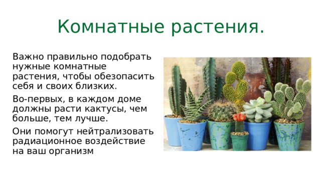 Комнатные растения. Важно правильно подобрать нужные комнатные растения, чтобы обезопасить себя и своих близких. Во-первых, в каждом доме должны расти кактусы, чем больше, тем лучше. Они помогут нейтрализовать радиационное воздействие на ваш организм 