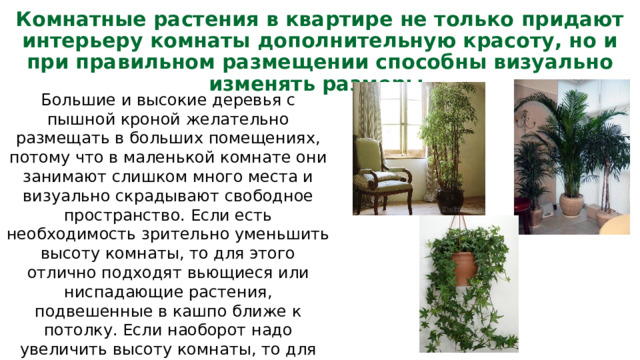 Комнатные растения в квартире не только придают интерьеру комнаты дополнительную красоту, но и при правильном размещении способны визуально изменять размеры. Большие и высокие деревья с пышной кроной желательно размещать в больших помещениях, потому что в маленькой комнате они занимают слишком много места и визуально скрадывают свободное пространство. Если есть необходимость зрительно уменьшить высоту комнаты, то для этого отлично подходят вьющиеся или ниспадающие растения, подвешенные в кашпо ближе к потолку. Если наоборот надо увеличить высоту комнаты, то для этого надо разместить в ней два или три высоких растения. 