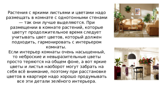 Растения с яркими листьями и цветами надо размещать в комнате с однотонными стенами — так они лучше выделяются. При размещении в комнате растений, которые цветут продолжительное время следует учитывать цвет цветов, который должен подходить, гармонировать с интерьером комнаты. Если интерьер комнаты очень насыщенный, то неброские и невыразительные цветы просто теряются на общем фоне, а вот яркие цветы и листья наоборот могут забрать на себя всё внимание, поэтому при расстановке цветов в квартире надо хорошо продумывать все эти детали зелёного интерьера. 