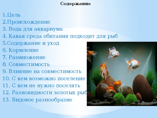 Содержание   1.Цель 2.Происхождение 3. Вода для аквариума 4. Какая среда обитания подходит для рыб 5.Содержание и уход 6. Кормление 7. Размножение 8. Совместимость 9. Влияние на совместимость 10. С кем возможно поселение 11. С кем не нужно поселять 12. Разновидности золотых рыб 13. Видовое разнообразие 