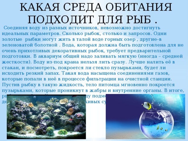КАКАЯ СРЕДА ОБИТАНИЯ ПОДХОДИТ ДЛЯ РЫБ .  Соединяя воду из разных источников, невозможно достигнуть идеальных параметров. Сколько рыбок, столько и запросов. Одни золотые рыбки могут жить в талой воде горных озер , другие–в зеленоватой болотной . Вода, которая должна быть подготовлена для не очень прихотливых декоративных рыбок, требует предварительной подготовки. В аквариум общий надо заливать мягкую (иногда – средней жесткости). Воду из-под крана нельзя лить сразу. Лучше налить её в стакан, и посмотреть, покроется ли стекло пузырьками, будет ли исходить резкий запах. Такая вода насыщена соединениями газов, которые попали в неё в процессе фильтрации на очистной станции. Пустив рыбку в такую жидкость, тело питомца мгновенно покроется пузырьками, которые проникнут в жабры и внутренние органы. В итоге, рыбка погибнет. Кроме газа, в воду подмешивают хлор для дезинфекции, он также отравит живых существ. 