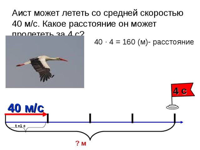 4 с Аист может лететь со средней скоростью 40 м/с. Какое расстояние он может пролететь за 4 с? 40 ∙ 4 = 160 (м)- расстояние 40 м/с t =1 с ? м 