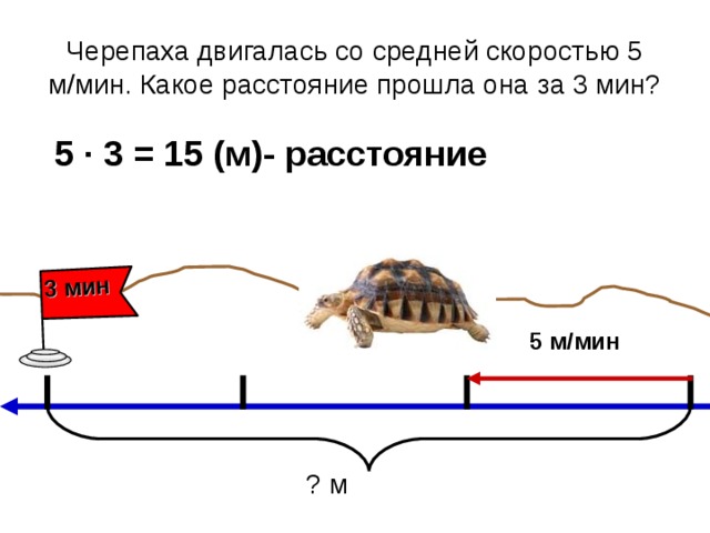 3 мин Черепаха двигалась со средней скоростью 5 м/мин. Какое расстояние прошла она за 3 мин? 5 ∙ 3 = 15 (м)- расстояние 5 м/мин ? м 