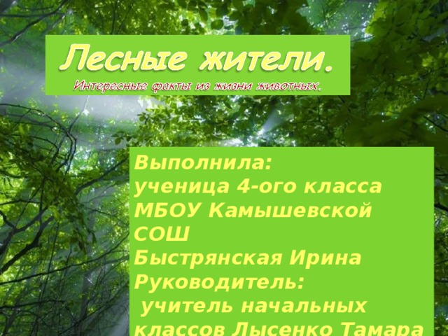 Выполнила: ученица 4- ого класса МБОУ Камышевской СОШ Быстрянская Ирина Руководитель:  учитель начальных классов Лысенко Тамара Фёдоровна Free Powerpoint Templates 