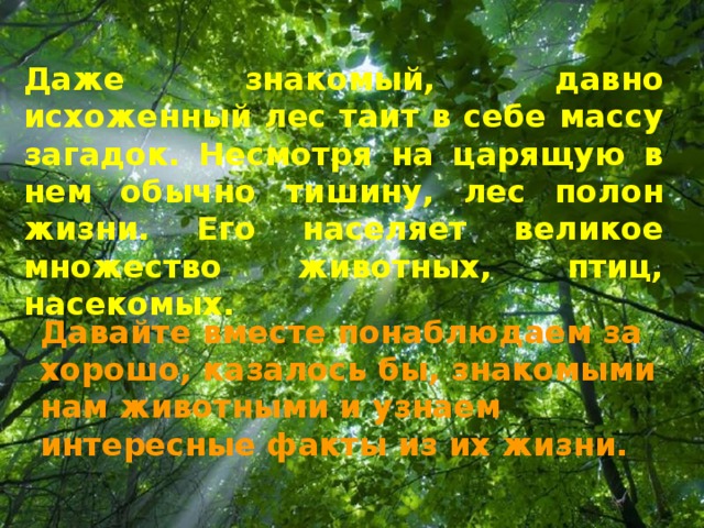 Даже  знакомый, давно исхоженный лес таит в себе массу загадок. Несмотря на царящую в нем обычно тишину, лес полон жизни. Его населяет великое множество животных, птиц, насекомых. Давайте вместе понаблюдаем за хорошо, казалось бы, знакомыми нам животными и узнаем интересные факты из их жизни. Free Powerpoint Templates 