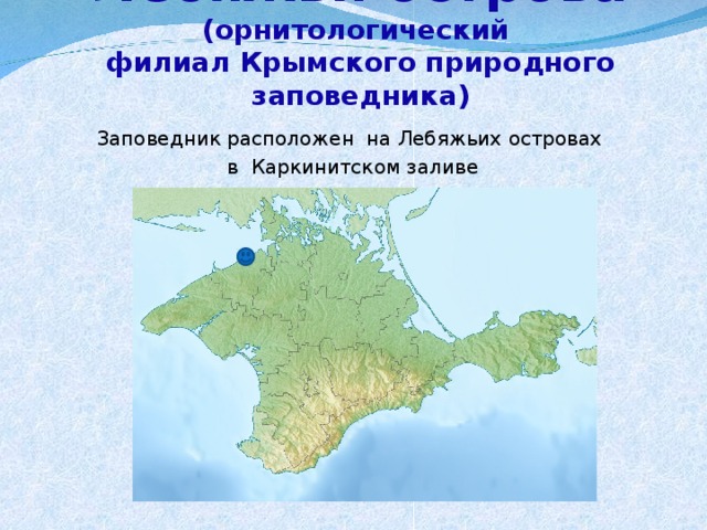 Лебяжьи острова (орнитологический  филиал Крымского природного заповедника) Заповедник расположен на Лебяжьих островах   в  Каркинитском заливе 