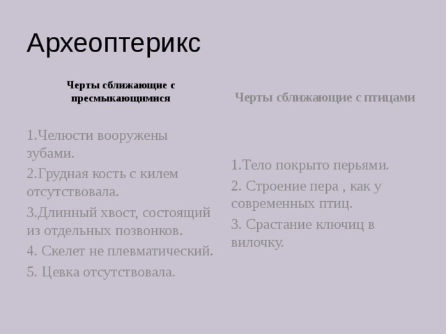Археоптерикс Черты сближающие с пресмыкающимися Черты сближающие с птицами 1.Челюсти вооружены зубами. 1.Тело покрыто перьями. 2.Грудная кость с килем отсутствовала. 2. Строение пера , как у современных птиц. 3.Длинный хвост, состоящий из отдельных позвонков. 3. Срастание ключиц в вилочку. 4. Скелет не плевматический. 5. Цевка отсутствовала. 