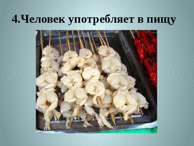 4.Человек употребляет в пищу 