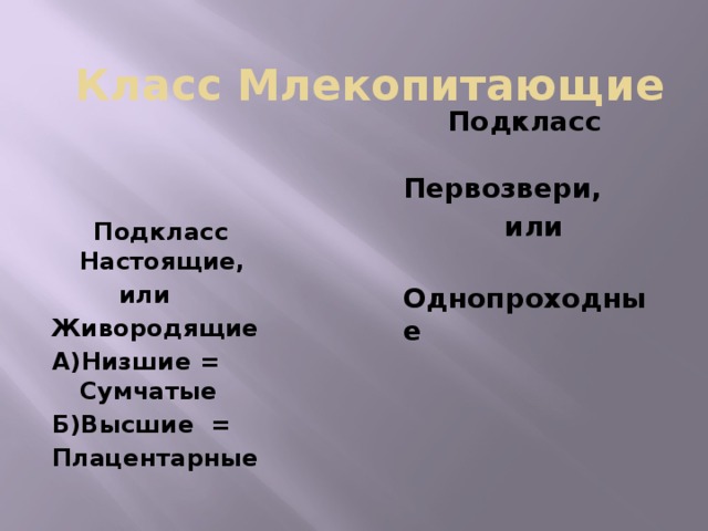 Класс Млекопитающие  Подкласс Настоящие,  или Живородящие А)Низшие = Сумчатые Б)Высшие = Плацентарные  Подкласс Первозвери,  или  Однопроходные 