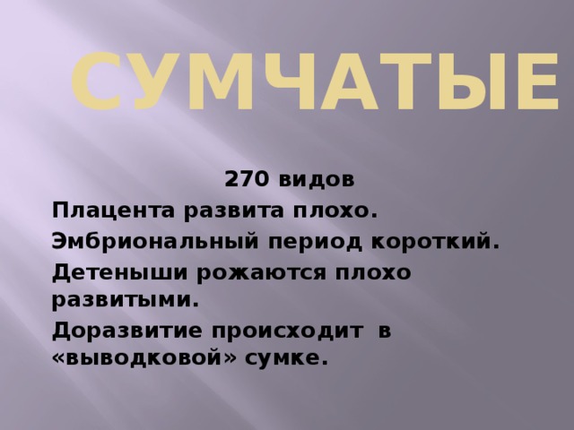 Сумчатые 270 видов Плацента развита плохо. Эмбриональный период короткий. Детеныши рожаются плохо развитыми. Доразвитие происходит в «выводковой» сумке. 