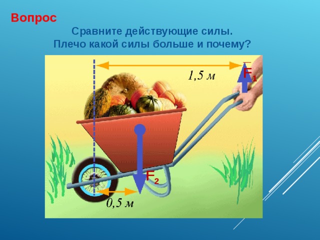 Вопрос Сравните действующие силы. Плечо какой силы больше и почему? _ F 1 _ F 2 