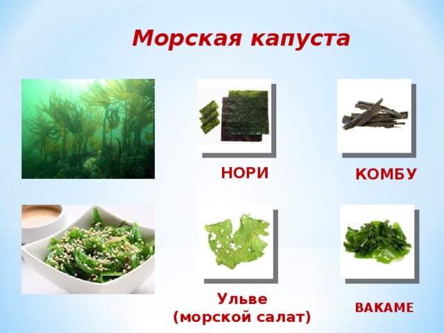 Морская капуста НОРИ КОМБУ Ульве (морской салат) ВАКАМЕ 