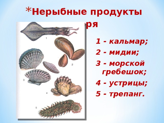 Нерыбные продукты моря  1 - кальмар; 2 - мидии; 3 - морской гребешок; 4 - устрицы; 5 - трепанг. 