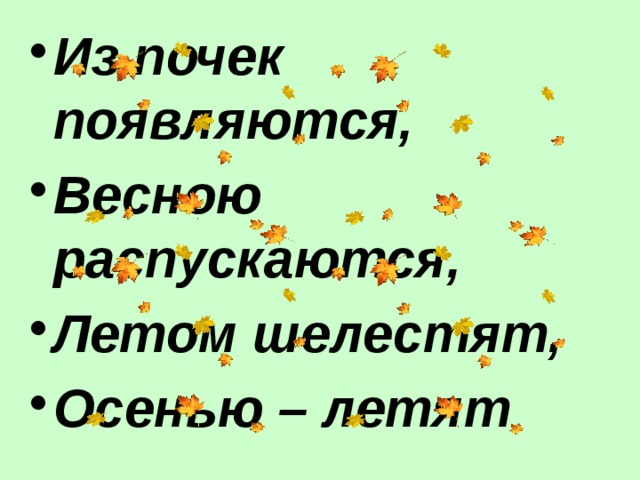 Из почек появляются, Весною распускаются, Летом шелестят, Осенью – летят 