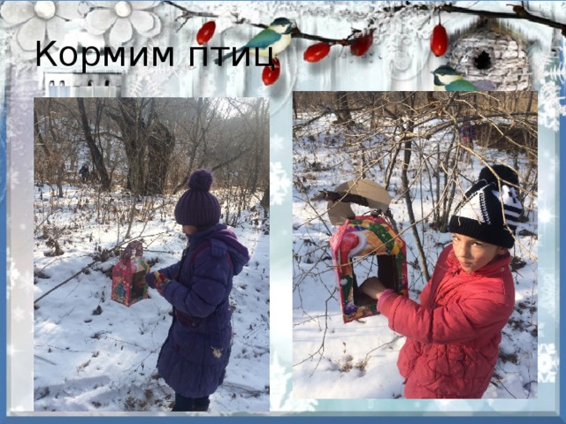 Кормим птиц 