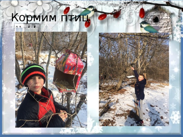 Кормим птиц 