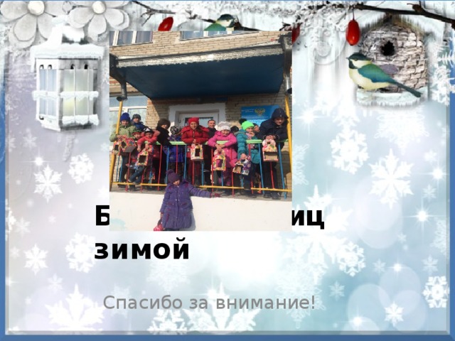 Берегите птиц зимой Спасибо за внимание! 
