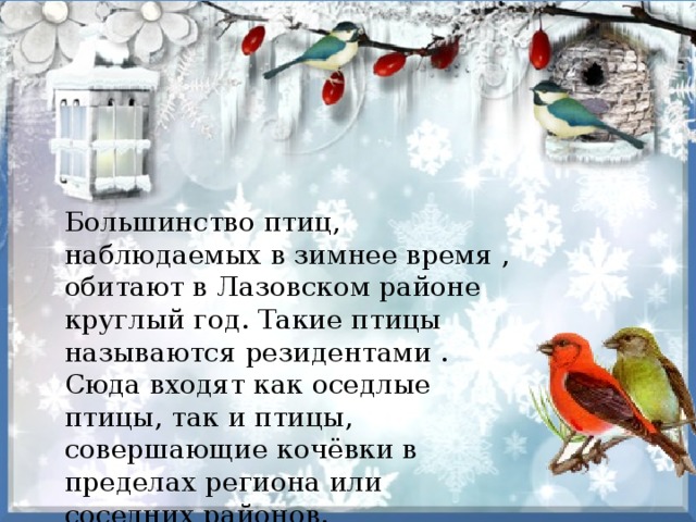 Большинство птиц, наблюдаемых в зимнее время , обитают в Лазовском районе круглый год. Такие птицы называются резидентами . Сюда входят как оседлые птицы, так и птицы, совершающие кочёвки в пределах региона или соседних районов. 