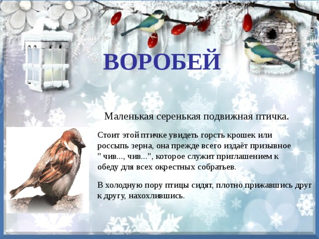ВОРОБЕЙ Маленькая серенькая подвижная птичка. Стоит этой птичке увидеть горсть крошек или россыпь зерна, она прежде всего издаёт призывное 