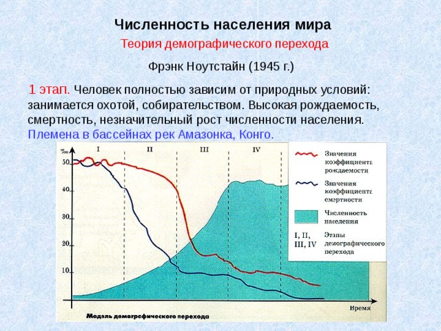 Численность населения мира  Теория демографического перехода Фрэнк Ноутстайн (1945 г.)  1 этап. Человек полностью зависим от природных условий: занимается охотой, собирательством. Высокая рождаемость, смертность, незначительный рост численности населения. Племена в бассейнах рек Амазонка, Конго.  