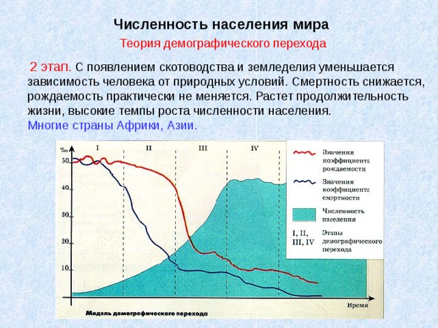 Численность населения мира  Теория демографического перехода  2 этап. С появлением скотоводства и земледелия уменьшается зависимость человека от природных условий. Смертность снижается, рождаемость практически не меняется. Растет продолжительность жизни, высокие темпы роста численности населения. Многие страны Африки, Азии. 