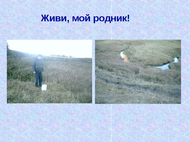 Живи, мой родник! 