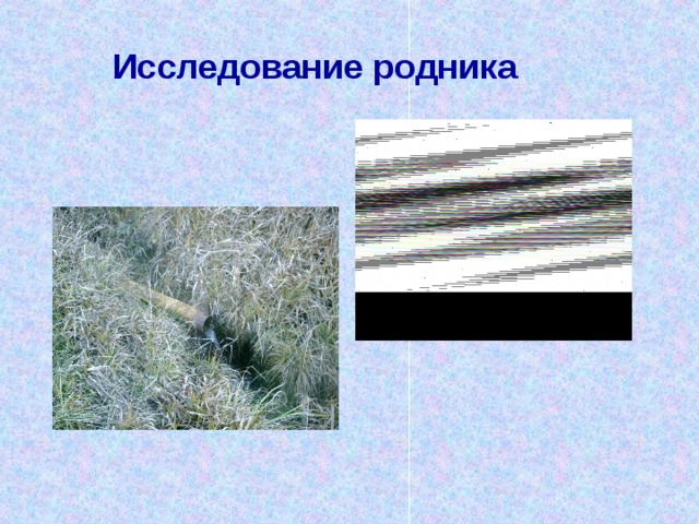 Исследование родника 