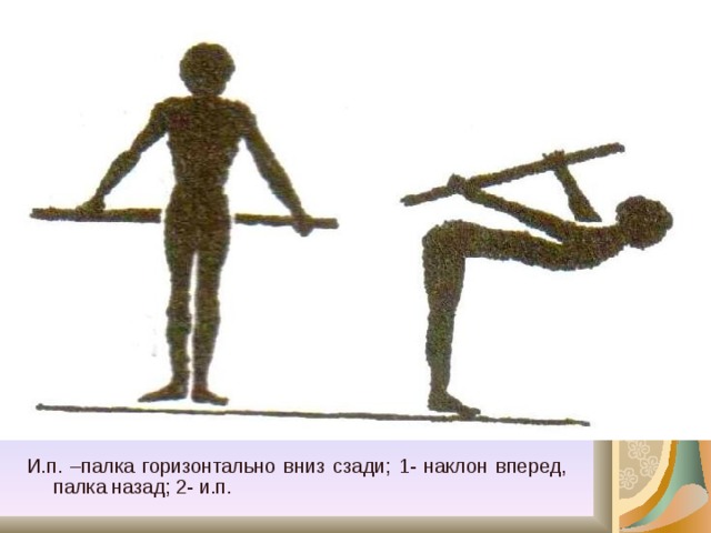 И.п. –палка горизонтально вниз сзади; 1- наклон вперед, палка назад; 2- и.п. 