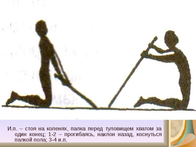 И.п. – стоя на коленях, палка перед туловищем хватом за один конец; 1-2 – прогибаясь, наклон назад, коснуться палкой пола; 3-4 и.п. 