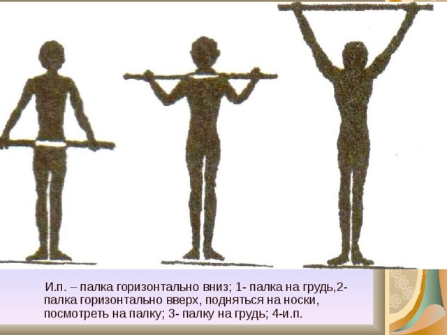  И.п. – палка горизонтально вниз; 1- палка на грудь,2- палка горизонтально вверх, подняться на носки, посмотреть на палку; 3- палку на грудь; 4-и.п. 