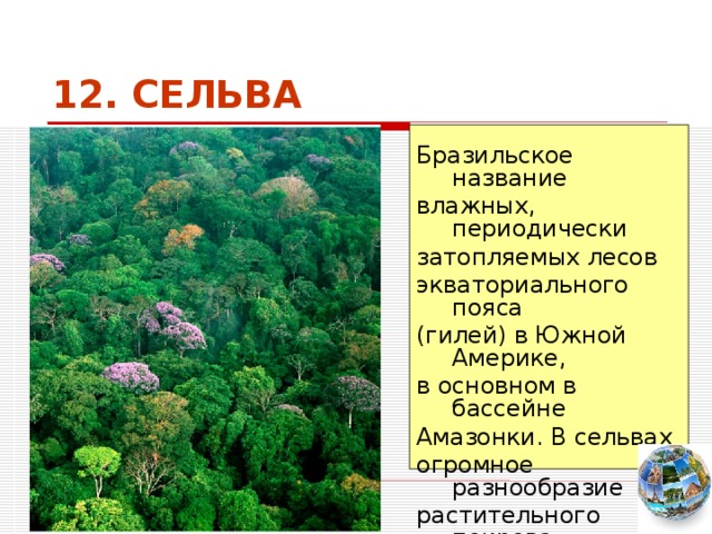 12. СЕЛЬВА Бразильское название влажных, периодически затопляемых лесов экваториального пояса (гилей) в Южной Америке, в основном в бассейне Амазонки. В сельвах огромное разнообразие растительного покрова  