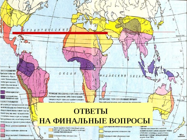  ОТВЕТЫ  НА ФИНАЛЬНЫЕ ВОПРОСЫ  