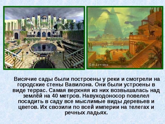  Висячие сады были построены у реки и смотрели на городские стены Вавилона. Они были устроены в виде террас. Самая верхняя из них возвышалась над землёй на 40 метров. Навуходоносор повелел посадить в саду все мыслимые виды деревьев и цветов. Их свозили по всей империи на телегах и речных ладьях. 
