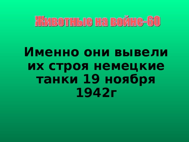 Именно они вывели их строя немецкие танки 19 ноября 1942г 