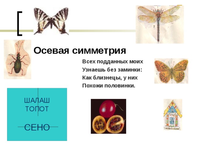 Осевая симметрия   Всех подданных моих Узнаешь без заминки: Как близнецы, у них Похожи половинки. Всех подданных моих Узнаешь без заминки: Как близнецы, у них Похожи половинки. Всех подданных моих Узнаешь без заминки: Как близнецы, у них Похожи половинки. Всех подданных моих Узнаешь без заминки: Как близнецы, у них Похожи половинки. Всех подданных моих Узнаешь без заминки: Как близнецы, у них Похожи половинки.  