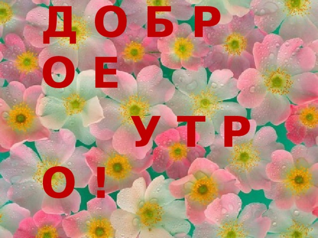 Д О Б Р О Е  У Т Р О !  
