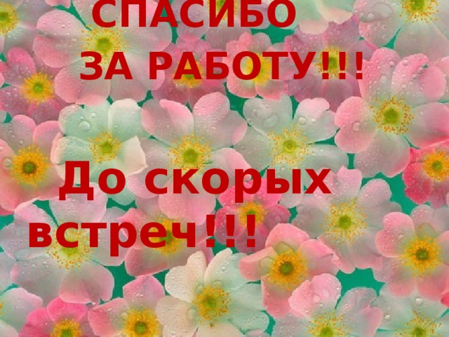  СПАСИБО  ЗА РАБОТУ!!!   До скорых встреч!!! 19 