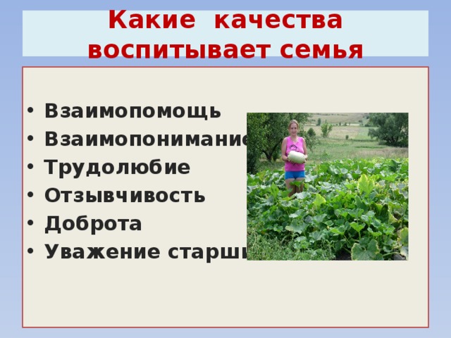 Какие качества воспитывает семья  Взаимопомощь Взаимопонимание Трудолюбие Отзывчивость Доброта Уважение старших 
