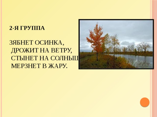  2-я группа   Зябнет осинка,  Дрожит на ветру,  Стынет на солнышке,  Мерзнет в жару.      