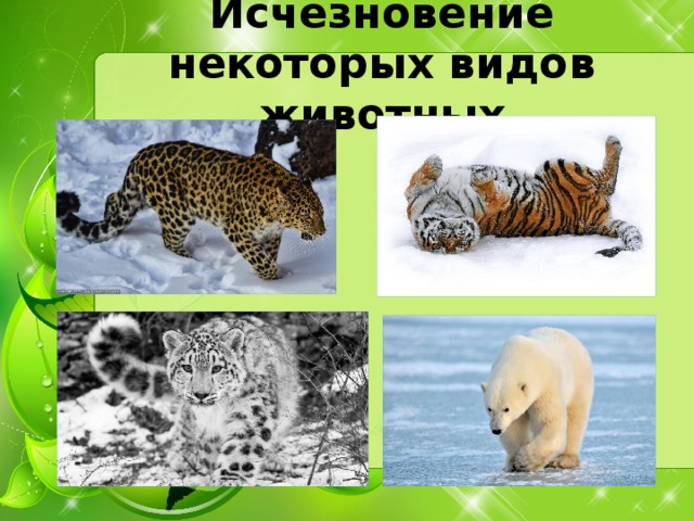 Исчезновение некоторых видов животных