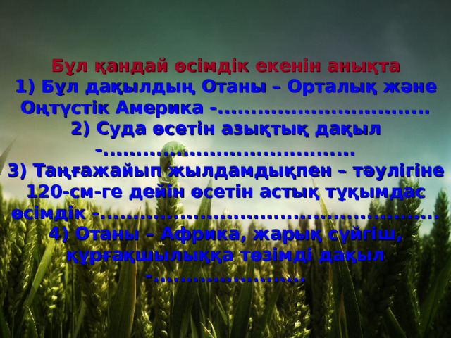 Бұл қандай өсімдік екенін анықта 1) Бұл дақылдың Отаны – Орталық және Оңтүстік Америка -................................ 2) Суда өсетін азықтық дақыл -...................................... 3) Таңғажайып жылдамдықпен – тәулігіне 120-см-ге дейін өсетін астық тұқымдас өсімдік -................................................... 4) Отаны – Африка, жарық сүйгіш, құрғақшылыққа төзімді дақыл -....................... 