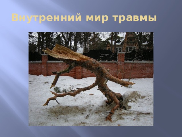 Внутренний мир травмы 