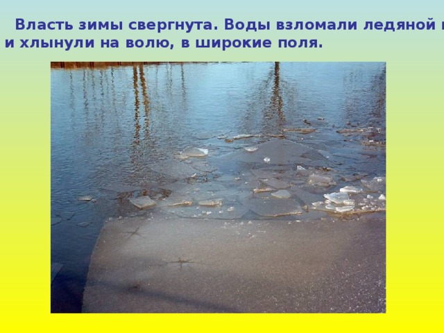  Власть зимы свергнута. Воды взломали ледяной поток и хлынули на волю, в широкие поля. 