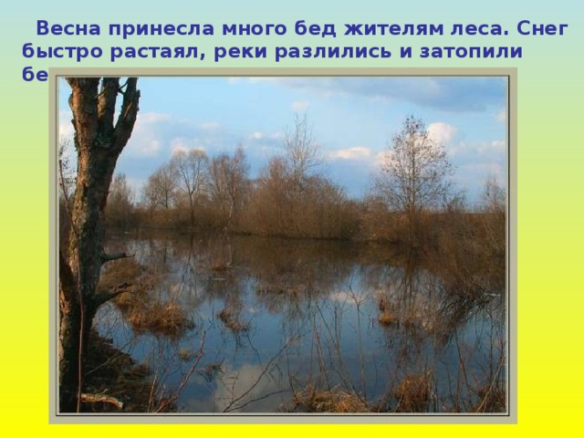  Весна принесла много бед жителям  леса. Снег быстро растаял, реки разлились и затопили берега. 